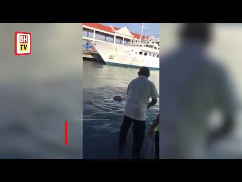 Man Stops Halfway in Attempt to Swim to Seberang Prai | NST Online