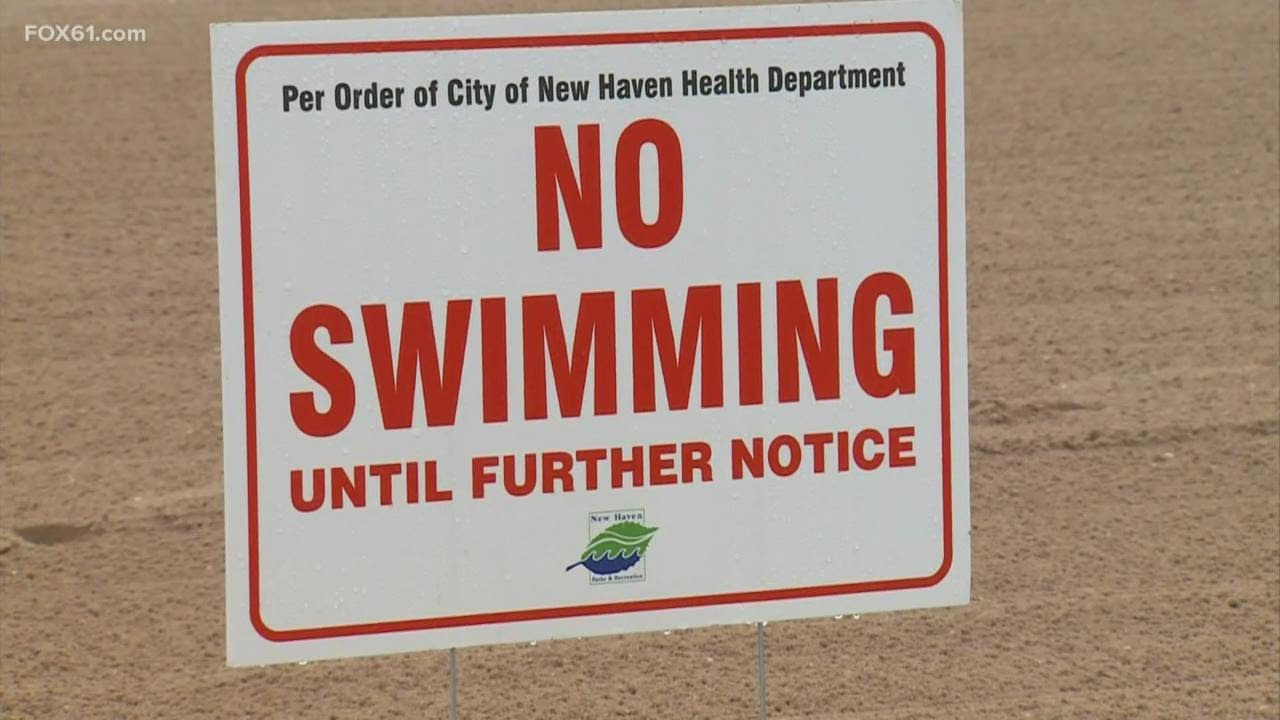 New Haven Working to Reduce Bacteria-Related Beach Swimming Closures | FOX 61