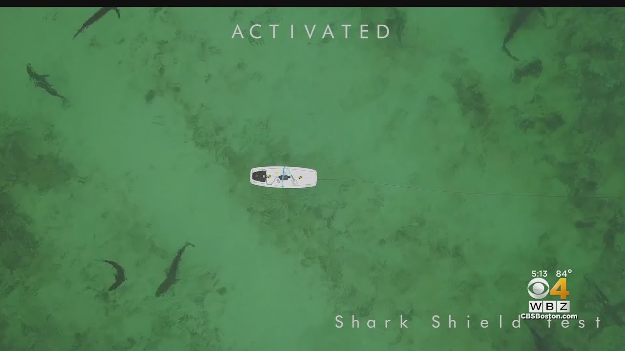 Shark Deterrent Creates ‘a Virtual Net’ Around Swimmers, Surfers | CBS Boston