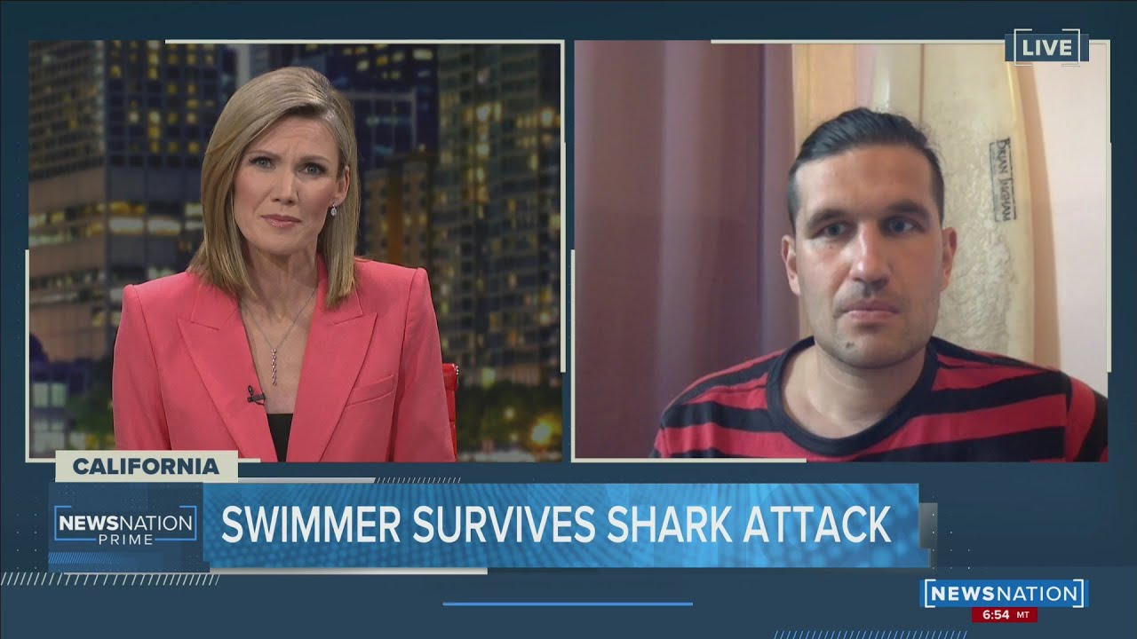 Swimmer Survives Shark Attack in California | NewsNation Now