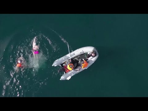 Swimmers Brave Freezing Baikal Waters Over 43 Miles | Reuters