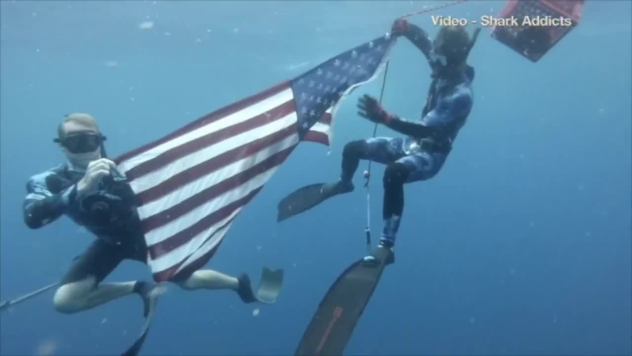 Veterans Plan to Swim With Sharks This Fourth of July | WPTV News