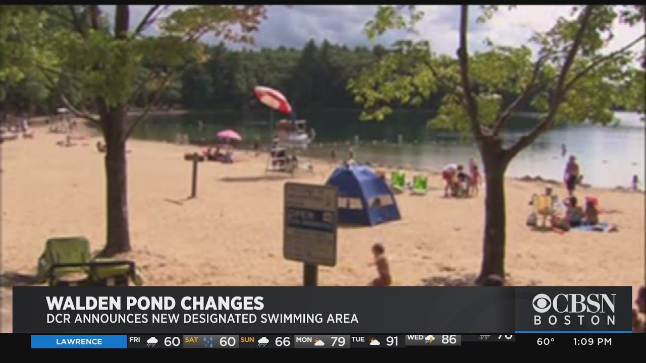 Walden Pond Restricts Swimming To Designated Areas | CBS Boston