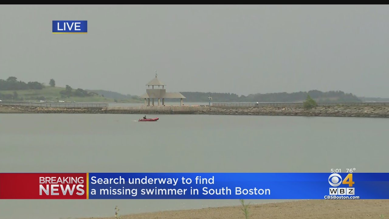 Whale And Swimmer Cross Paths Near Plum Island | CBS Boston