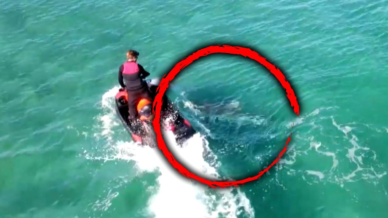 10-Foot Shark Takes a Bite Out of Manâ€™s Jet Ski | Inside Edition