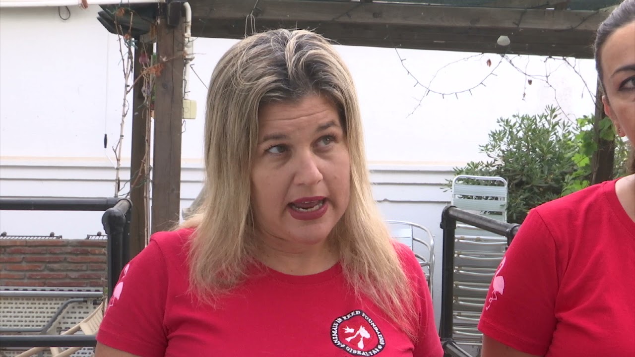 AINF Hosts Sponsored Swim to Raise Funds | GBC News