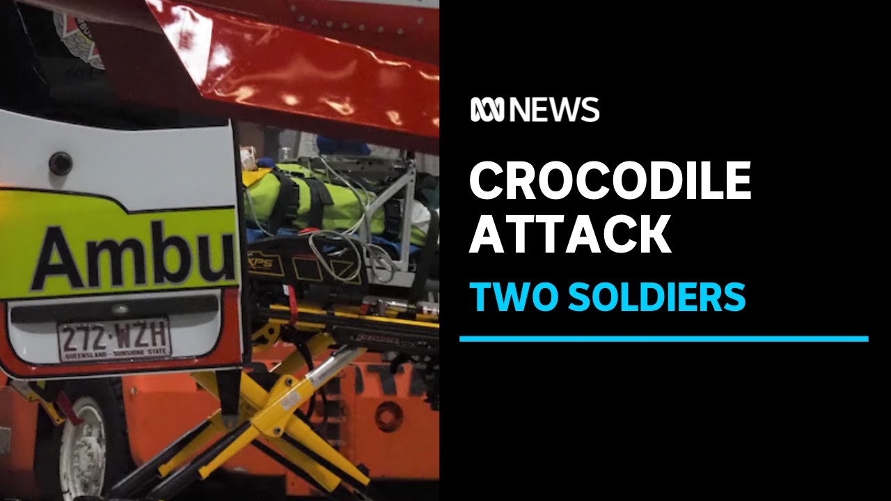 Crocodile Attacks Two Soldiers Swimming at Portland Roads in Far North Queensland | ABC News