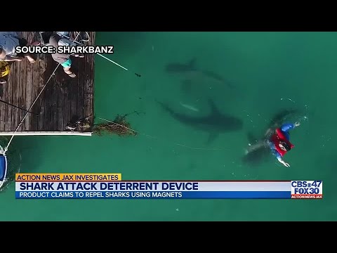 Does Shark-Repellant Technology Used to Prevent Shark Attacks Really Work? We Investigate | Action News Jax