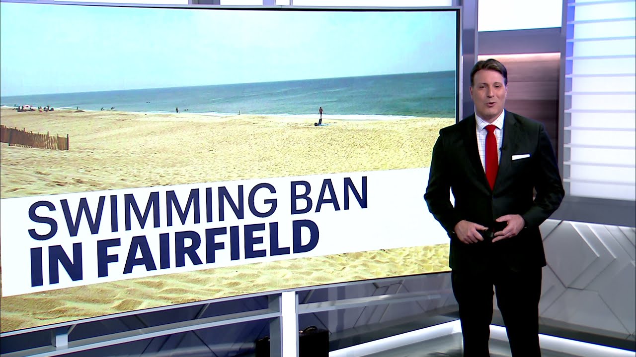 Fairfield Officials Ban Swimming at 2 Beaches Due to Crabs | News 12
