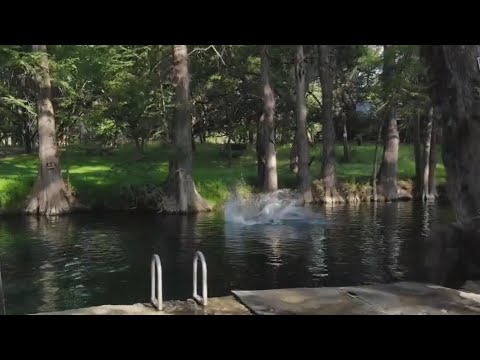Go For a Swim at the Blue Hole Regional Park in Wimberley | FOX 7 Austin