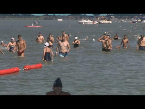 Hungary: Thousands Swim Across Largest Lake in Central Europe | Euronews