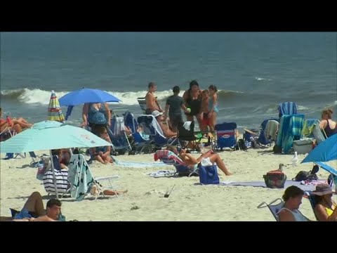 Nassau County Marks 20th Confirmed Shark Sighting of the Year | Eyewitness News ABC7NY Nassau County Marks 20th Confirmed Shark Sighting of the Year | Eyewitness News ABC7NY