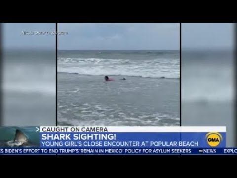 Video Shows Shark Swim Next to 11-Year-Old Girl at Myrtle Beach | ABC7 Video Shows Shark Swim Next to 11-Year-Old Girl at Myrtle Beach | ABC7