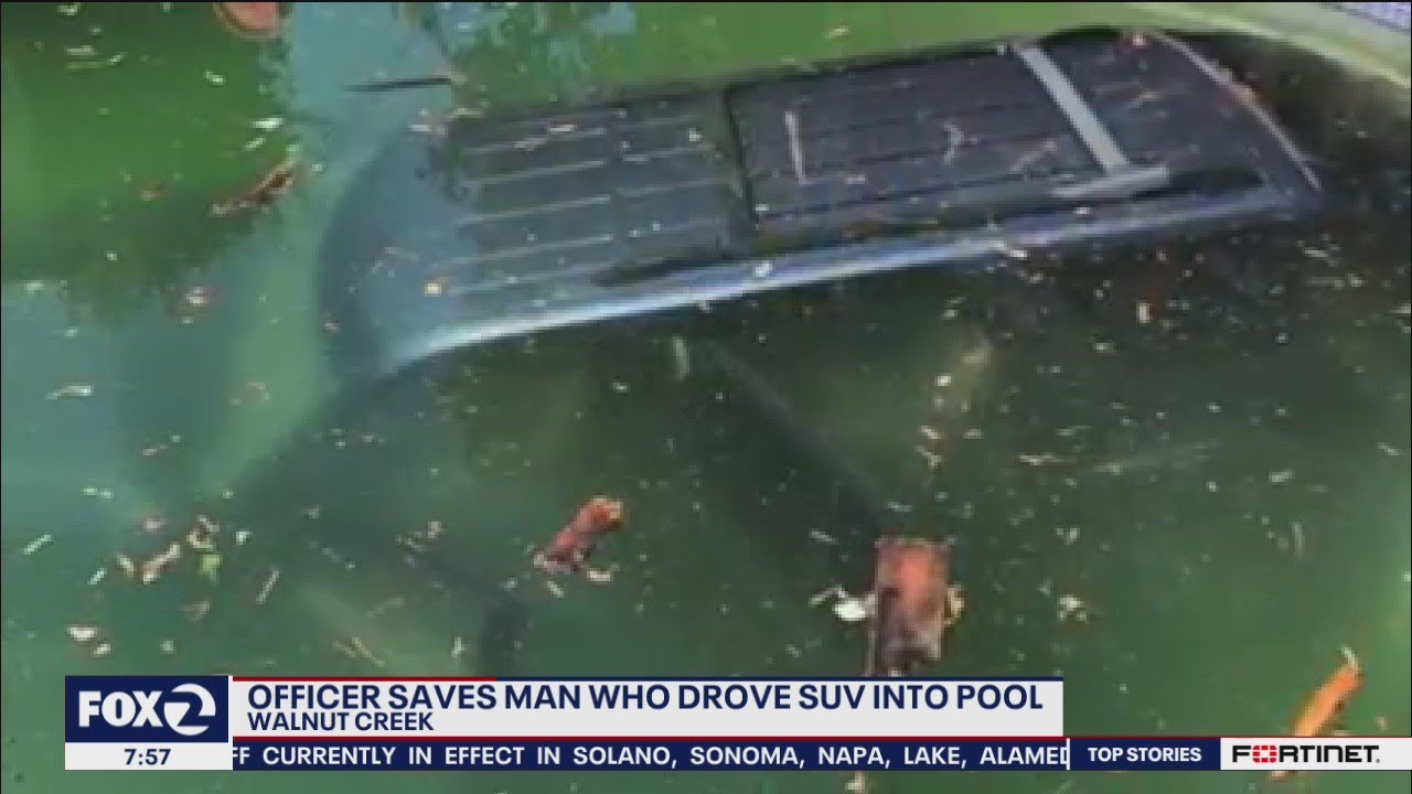 Walnut Creek Officer Saves Man Who Drove Into a Swimming Pool | KTVU FOX 2 San Francisco