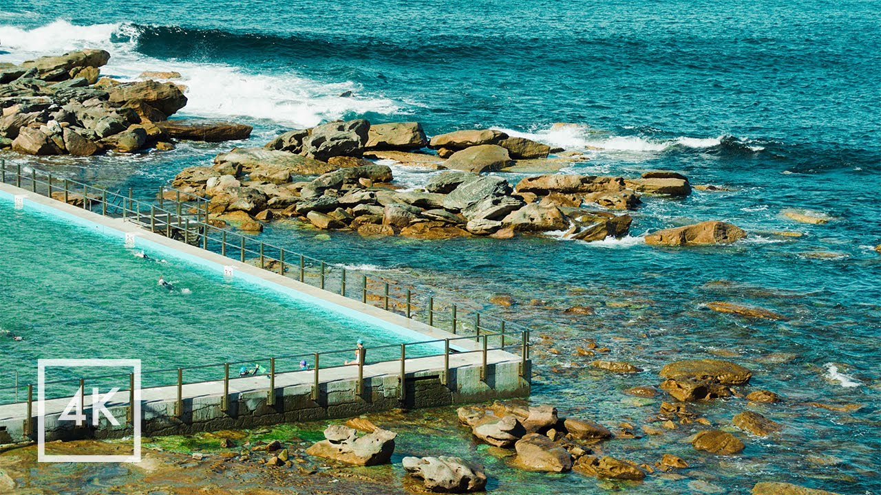 30 Minutes of Swimmers at Freshwater Ocean Pool | Ambient Australia | 4K
