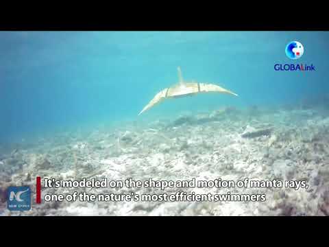 GLOBALink | Chinaâ€™s Biomimetic Robot Dives up to 1,025 Meters in Test Swim | New China TV