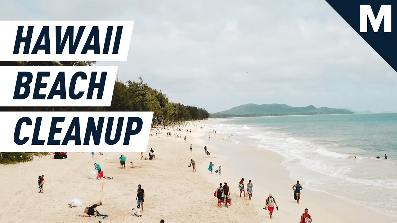 Hawaii Is Swimming in Plastic. Meet the People Sifting Through It | Mashable