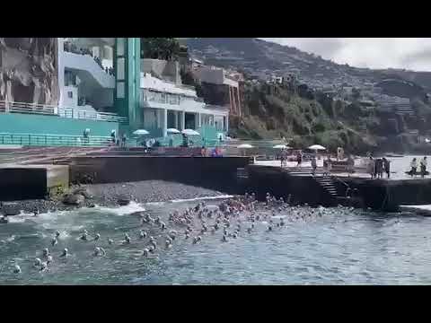 Madeira Ultra Swim – Prova de 1 QuilÃ³metro | DiÃ¡rio de NotÃ­cias â€” Madeira