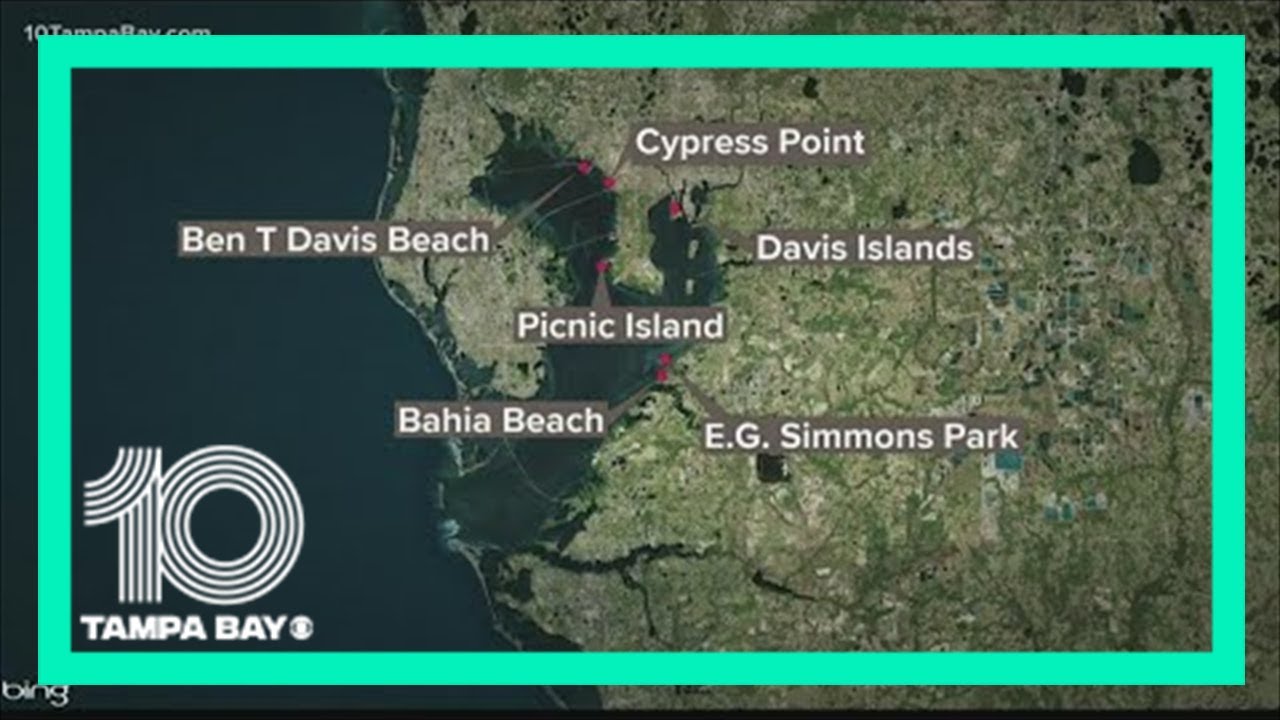 Swimming ‘Not Recommended’ at Several Tampa Bay Beaches Due to High Bacteria Levels | 10 Tampa Bay Swimming ‘Not Recommended’ at Several Tampa Bay Beaches Due to High Bacteria Levels | 10 Tampa Bay