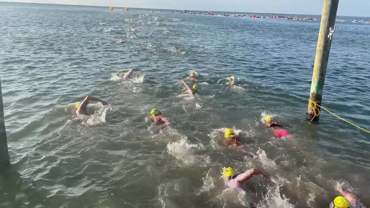 Web Extra: Hundreds Participate in Swim to Benefit Lighthouse | CBS Miami