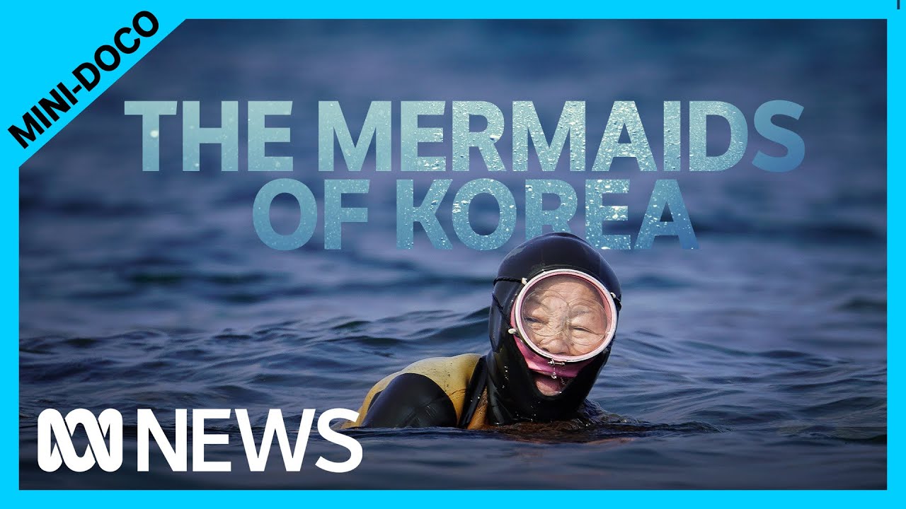 Follow Koreaâ€™s Oldest Free Divers on Their Underwater Treasure Hunt | ABC News