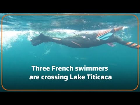 French Trio Swim Across Lake Titicaca for Climate Change | Reuters