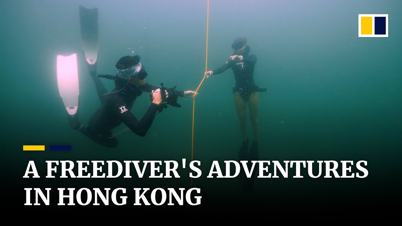 Hong Kong Freediving Takes Photographer on a Breathtaking Underwater Journey | South China Morning Post