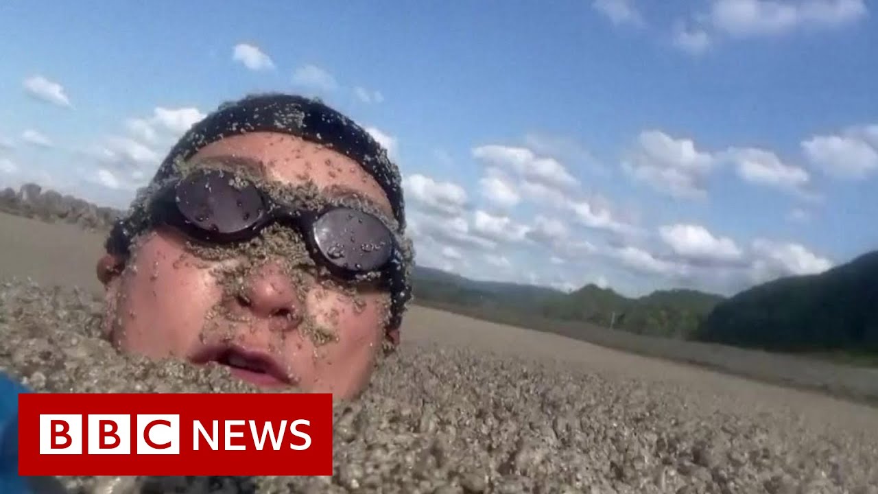 Swimming Through Pumice Stone After Underwater Volcanic Eruption | BBC News