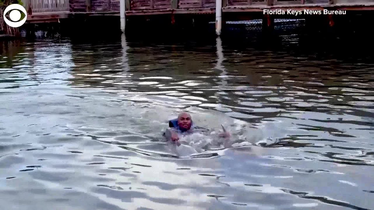Web Extra: Veterans Swim With Dolphins as Part of Therapy Program | CBS Miami