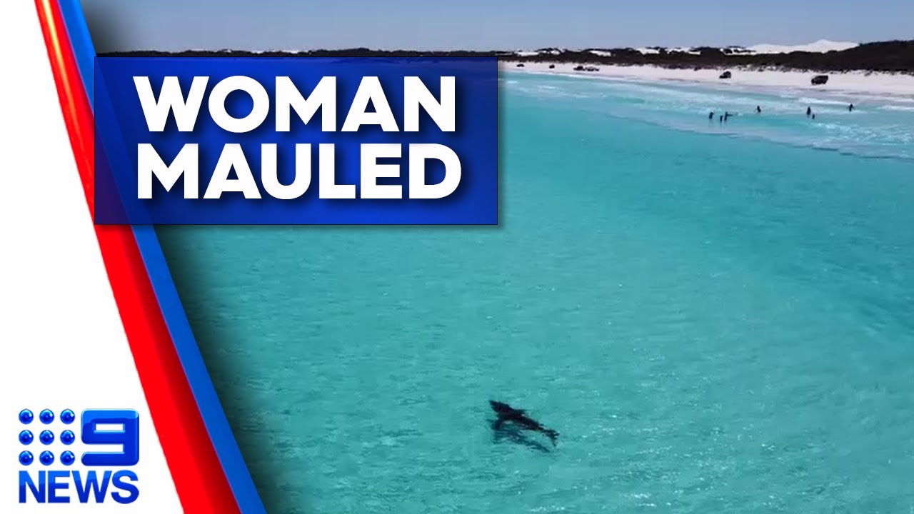 A Young Woman Has Been Mauled by a Shark at a Notorious Surfbreak Near Esperance | 9News Perth