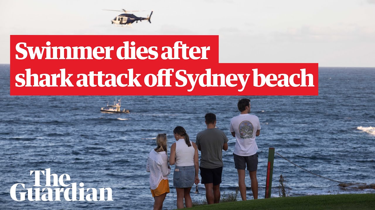 Sydney Shark Attack: Search for Remains After Shark Kills Swimmer off Little Bay Beach | Guardian Australia