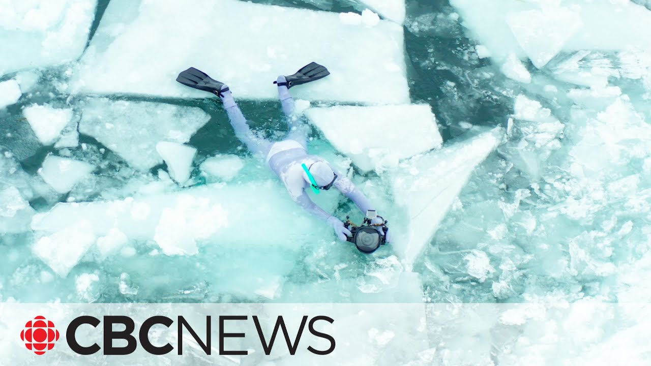 Meet the Filmmaker Who Free-Dives Under Ice | CBC News