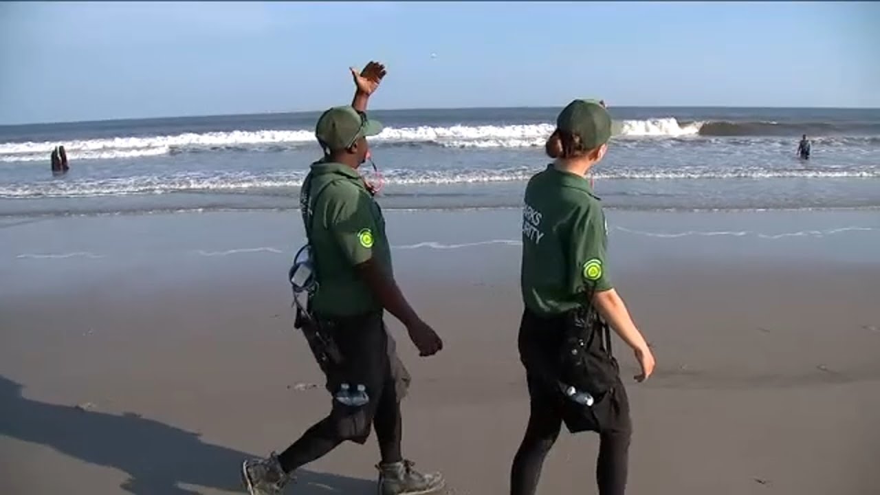All Rockaway Beaches Closed to Swimming Due to Shark Sightings | Eyewitness News ABC7NY