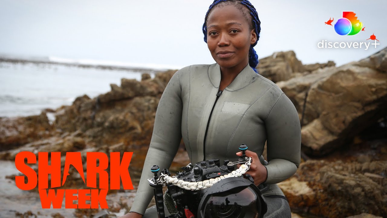 The Black Mermaid’s First Time Swimming With Great Whites | Shark Week | Discovery+