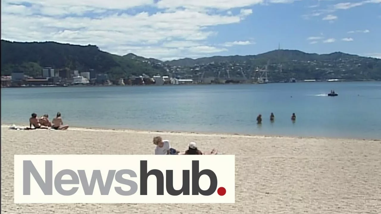 Do Not Swim: Contaminated Beaches a Sign of What’s to Come With Global Warming | Newshub