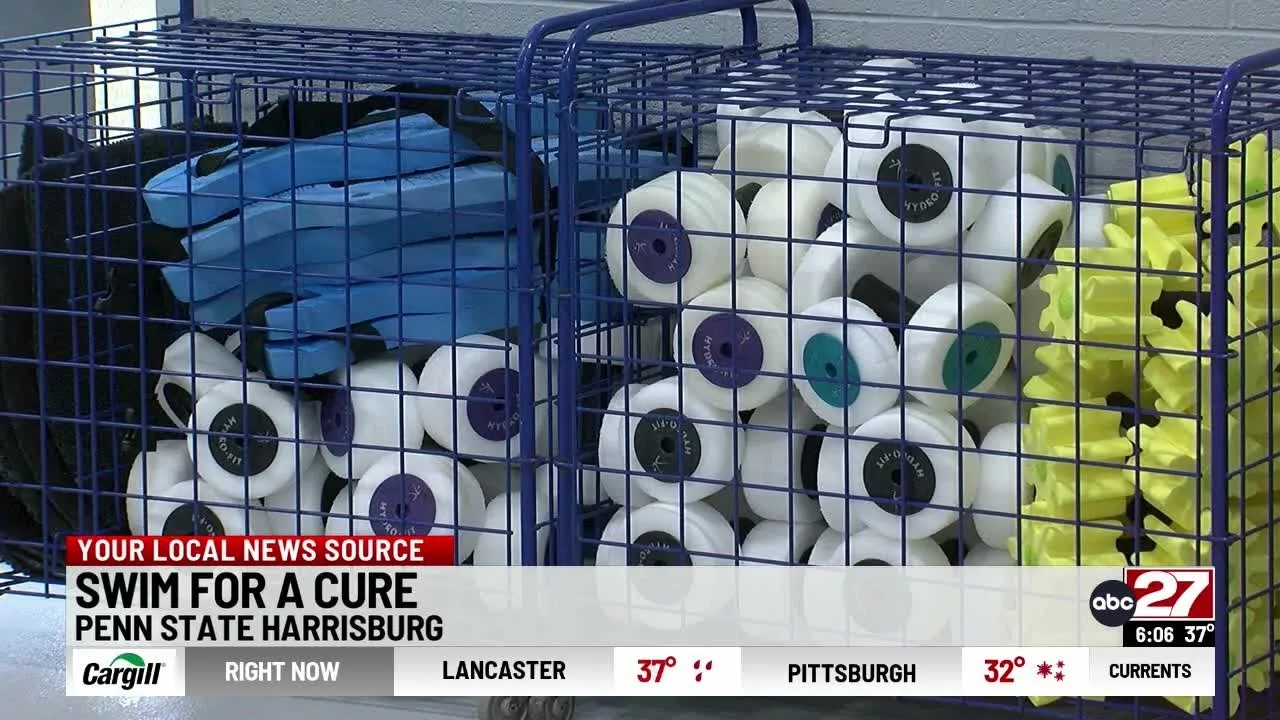 Swim for a Cure Held in Dauphin County | WHTM – abc27 News
