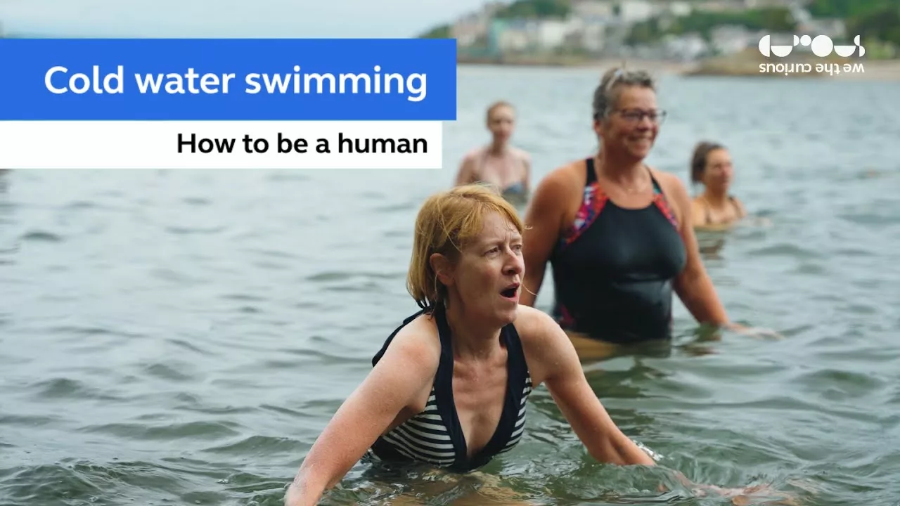 What Are the Benefits of Cold Water Swimming? | We The Curious