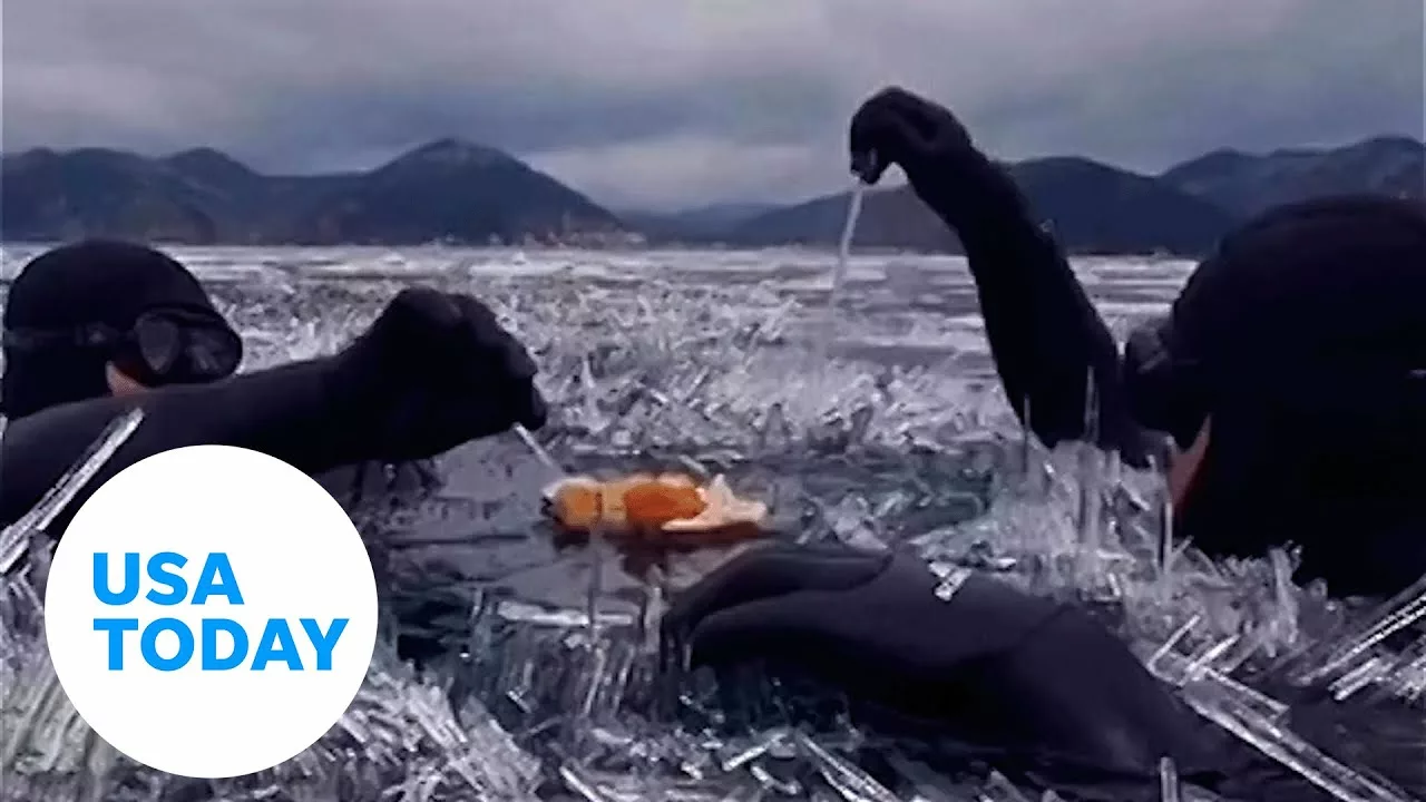 Brave Swimmers Put On Wetsuits for an Icy Picnic in Siberia | USA Today