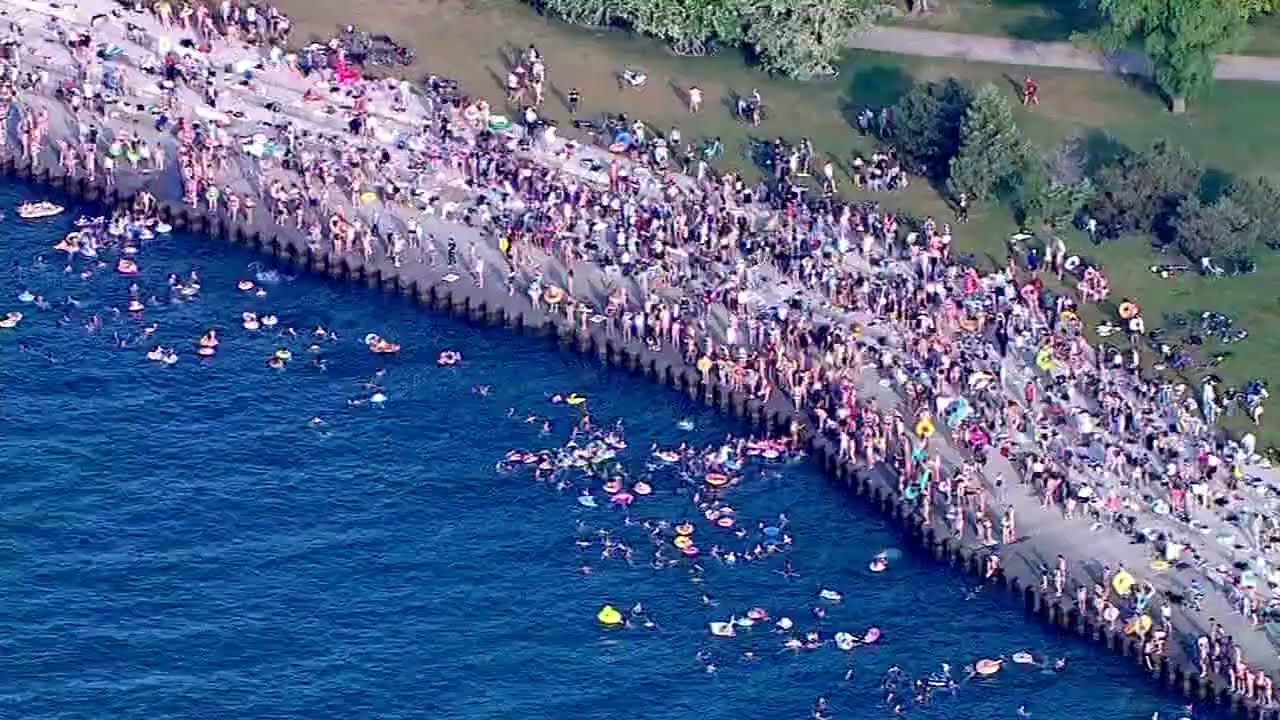 Hundreds Turn Out for Montrose Harbor Swim Club | ABC 7 Chicago