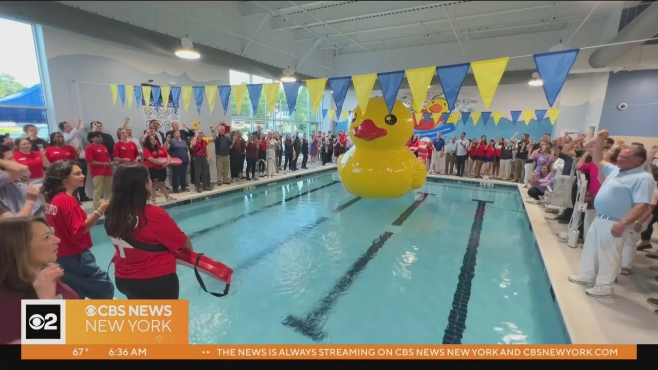Stewie the Duck Swim School Opens in Norwalk | CBS New York