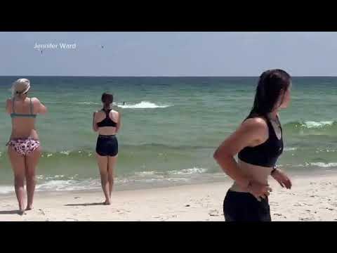 Sharks Seen Close to Shore, Biting Swimmers From Florida to East Coast | ABC 7 Chicago