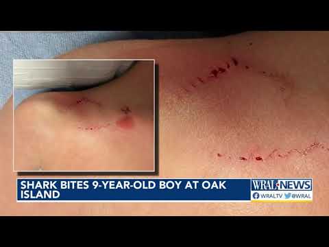 Shark Bites 9-Year-Old Swimming in Shallow Water at Oak Island