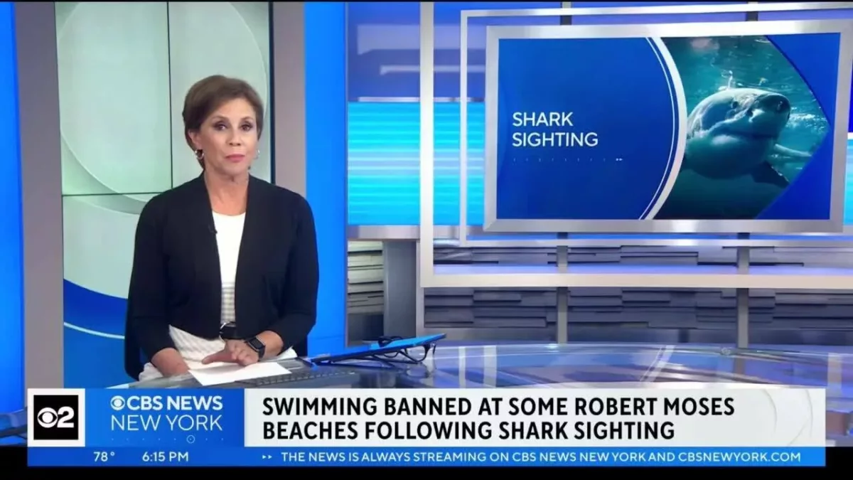 Swimming Banned at Some Robert Moses Beaches Following Shark Sighting | CBS New York
