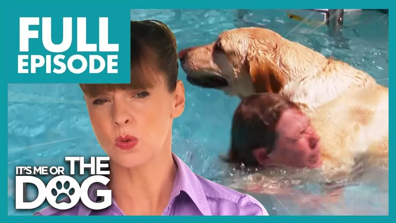 Labrador’s Jump on Swimmer Almost Leads to Drowning | Full Episode | It’s Me or the Dog