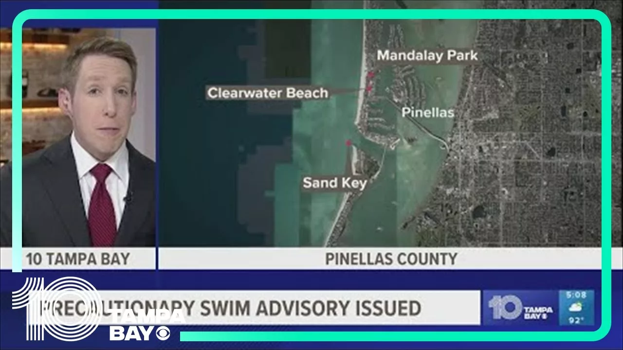 No Swim Advisory Issued at Clearwater-Area Beaches Due to Fecal Bacteria | 10 Tampa Bay No Swim Advisory Issued at Clearwater-Area Beaches Due to Fecal Bacteria | 10 Tampa Bay