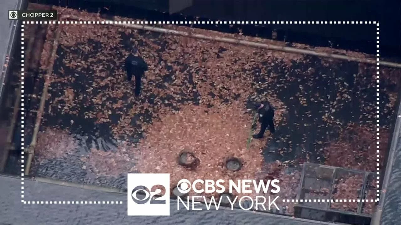 Man Jumps Into World Trade Center Memorial Pool | CBS New York