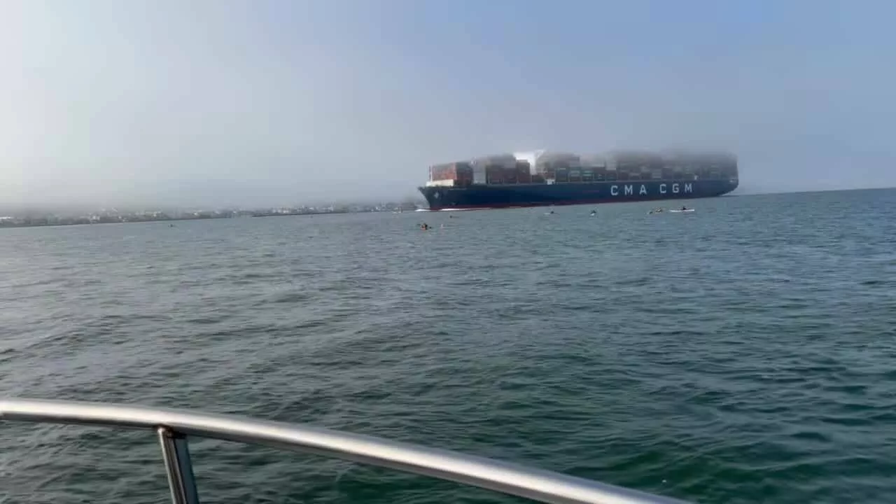 Alcatraz Swimmers Cut Off by Cargo Ship | KRON 4