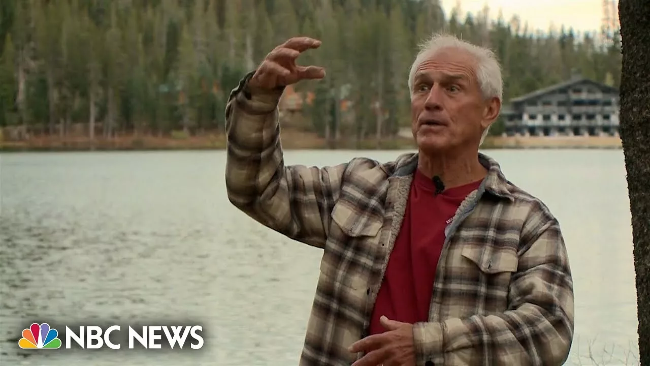 Man Says Otters Attacked Him While He Was Swimming in a California Lake | NBC News