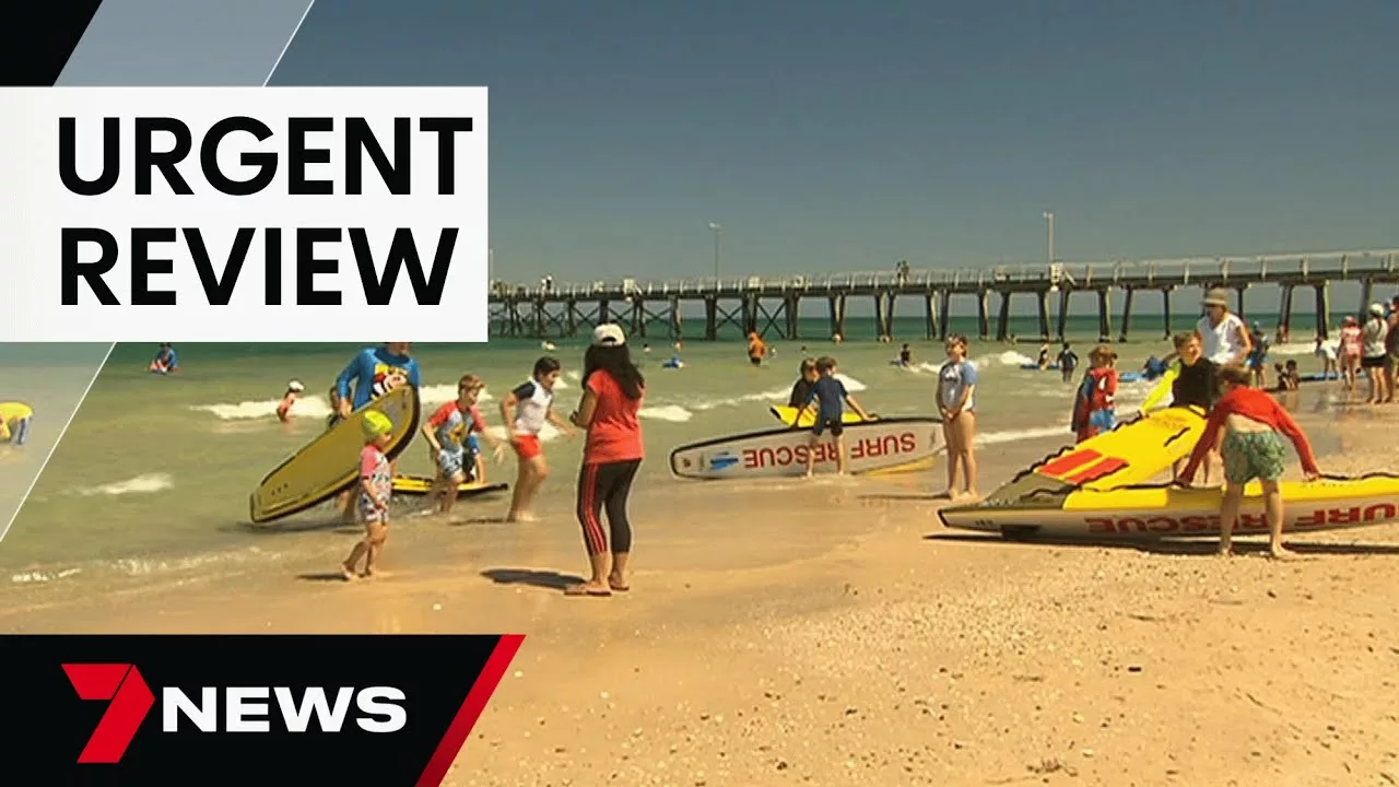 School Students Banned From Ocean Aquatic Activities After Shark Attacks | 7 News Australia