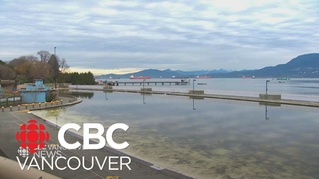 Future of Vancouver’s Largest Outdoor Pool in Doubt Due to Age, Storm-Related Damage | CBC Vancouver
